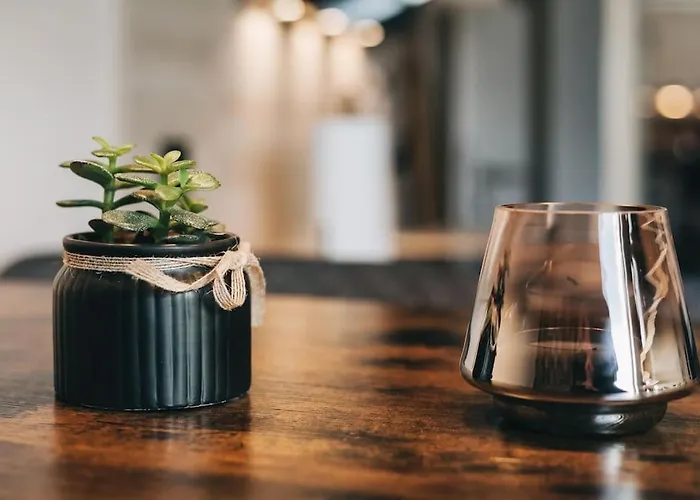 Stilvolles In 公寓 *